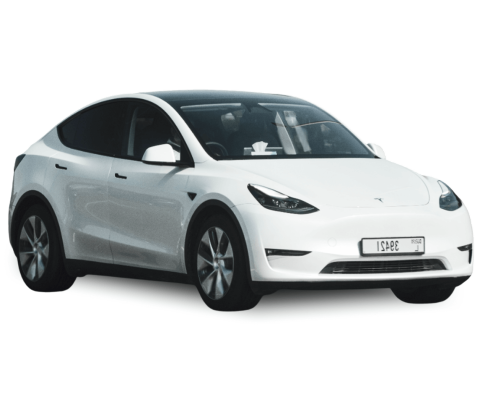 Quality Check and Delivery